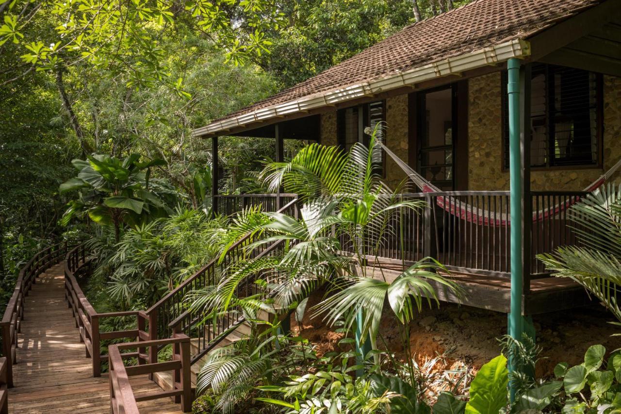 Sweet Songs Jungle Lodge San Ignacio Extérieur photo