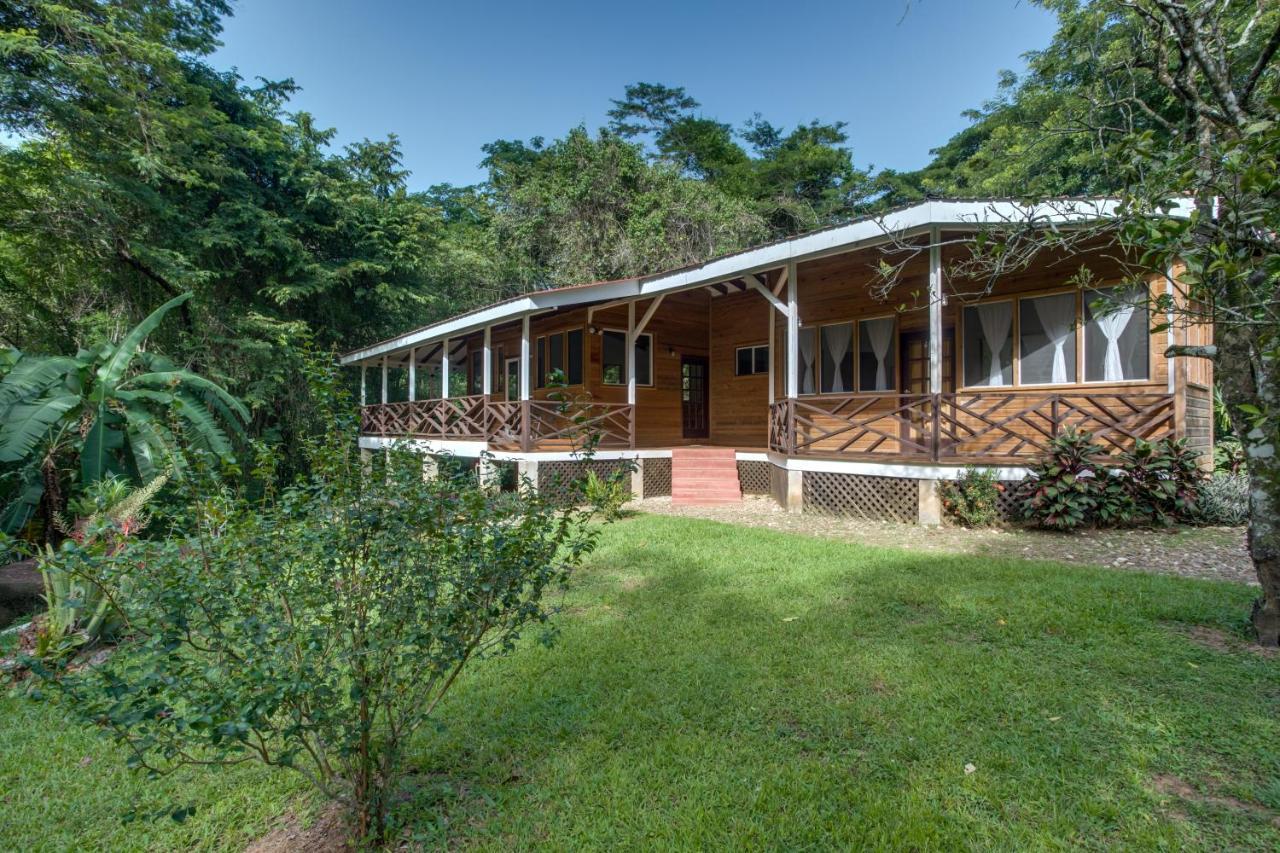 Sweet Songs Jungle Lodge San Ignacio Extérieur photo